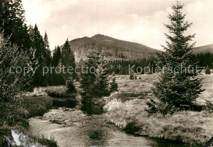 Schierke Harz Landschaftspanorama mit der Bode Blick zum Koenigsberg