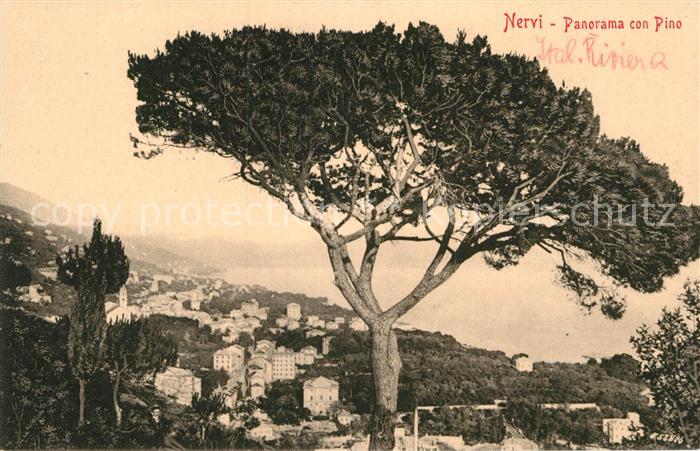 Nervi Panorama con Pino