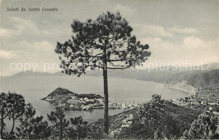 Sestri Levante Panorama Kuestenstadt