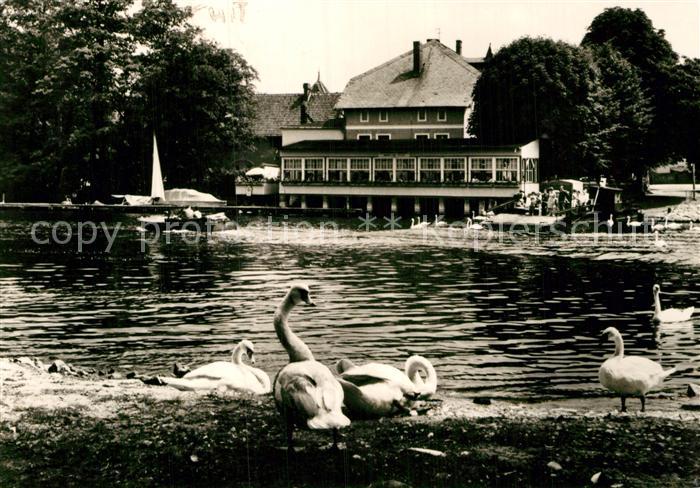 Caputh Gaststaette Cafe Faehrhaus