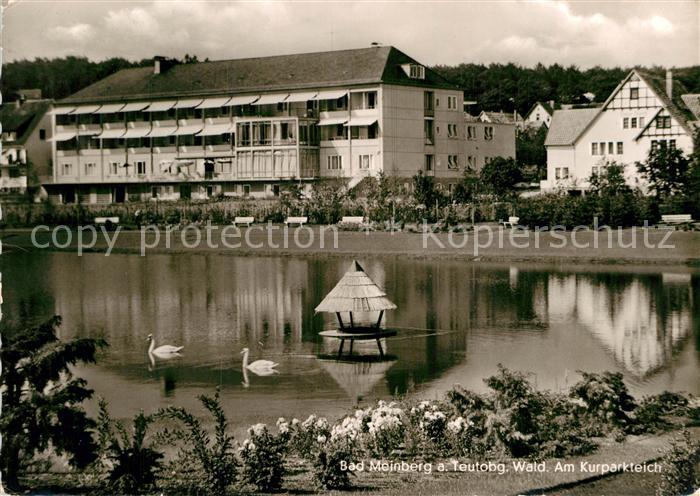 Bad Meinberg Kurparkteich Schwaene