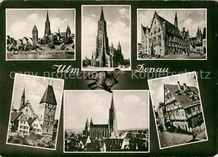 Ulm Donau Blick ueber die Donau zum Muenster Altstadt Fachwerkhaus Turm