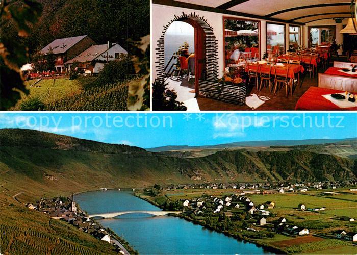 Piesport Panorama Moseltal Weinberge Weinstube Piesporter Moselblick