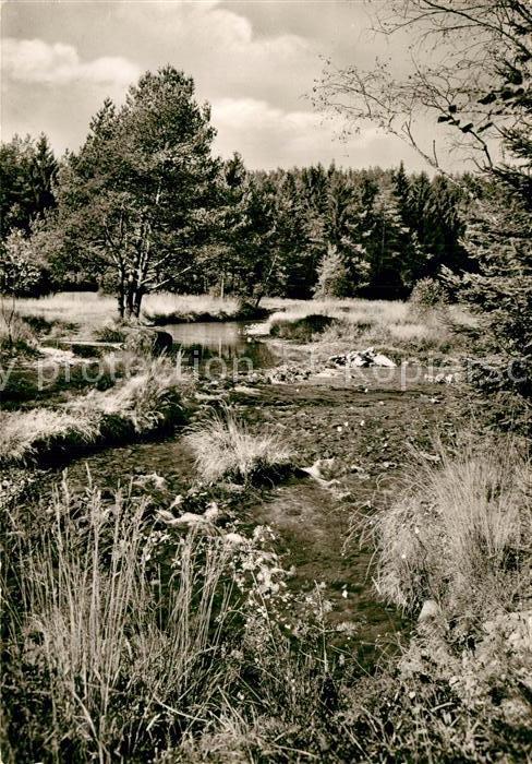 Boebrach Partie am Rotbach Natur