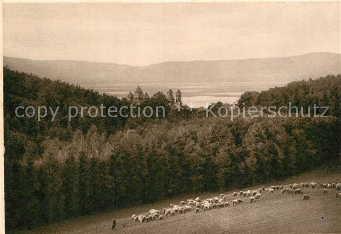Maria Laach Glees Panorama Blick vom Nikolausberg Schafherde Kloster