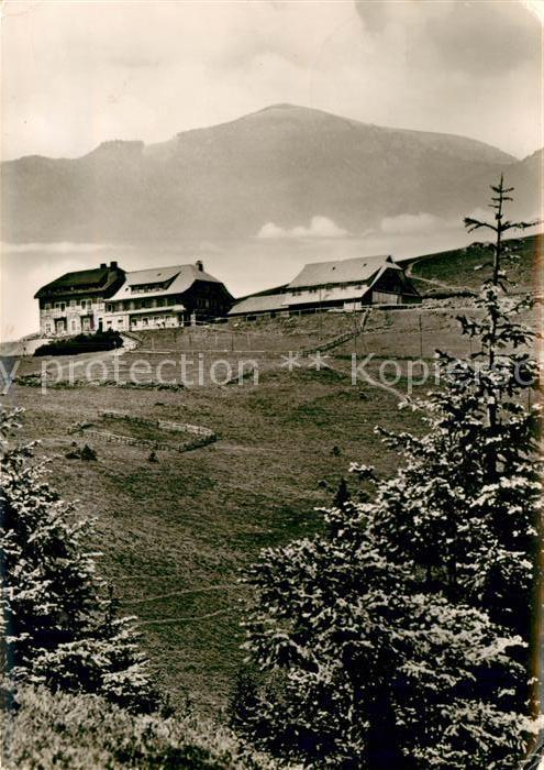 Schoenau Schwarzwald Hotel Belchenhaus Welchen