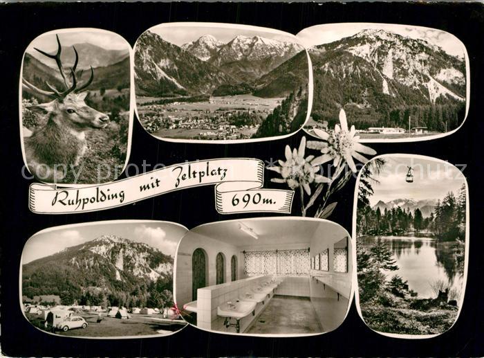 Ruhpolding Campingplatz Ortnerhof Hirsch Alpenpanorama Edelweiss