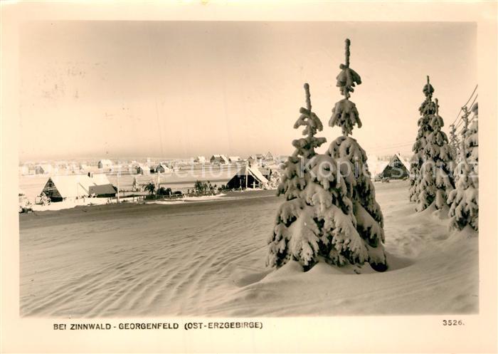 Georgenfeld Winterpanorama