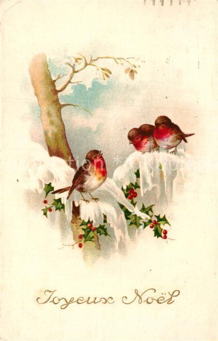 Voegel Birds Oiseaux Uccelli Pajaros-- Rotkehlchen Weihnachten Litho