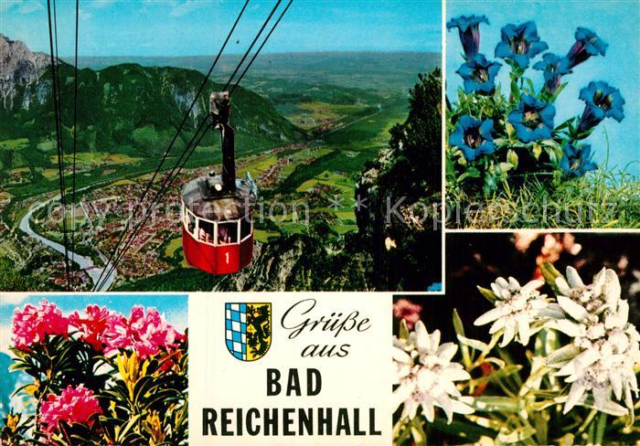 Seilbahn Bad Reichenhall Edelweiss Alpenrosen Enzian