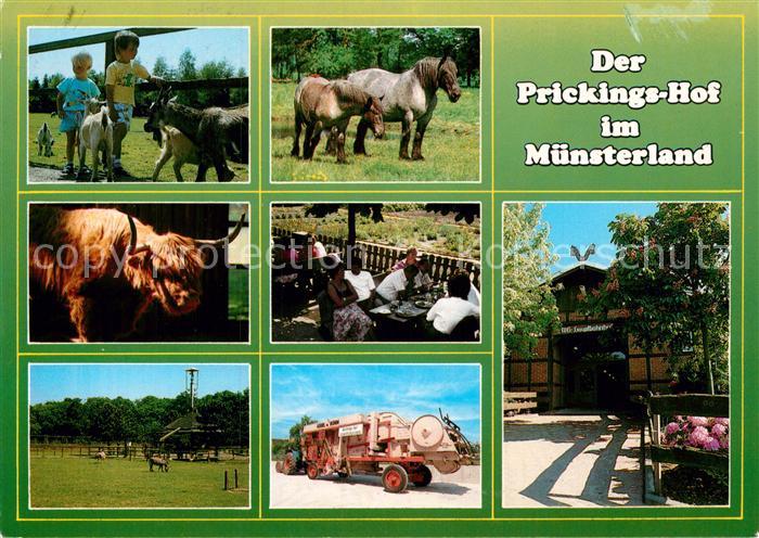 Tiere Europahof Prickings-Hof Haltern-Sythen