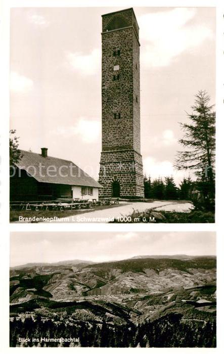 Schwarzwald Brandenkopfturm Blick ins Harmersbachta