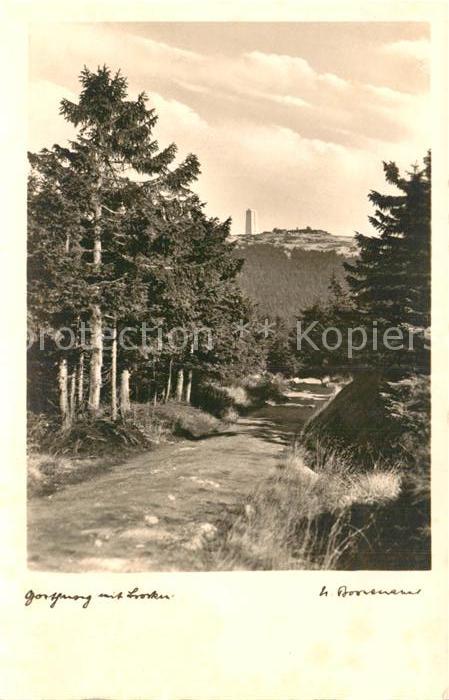 Brocken Harz Waldweg Aussichtsturm