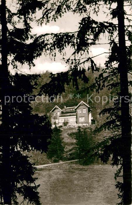 Altenau Harz Annenhoehe