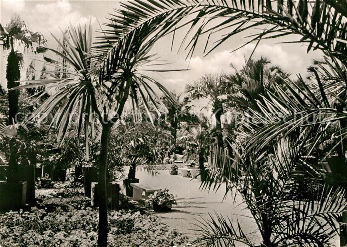 Bad Pyrmont Palmengarten