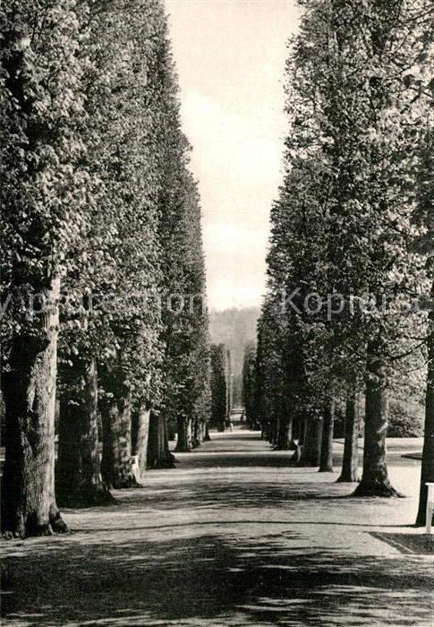 Bad Pyrmont Bomberghalle