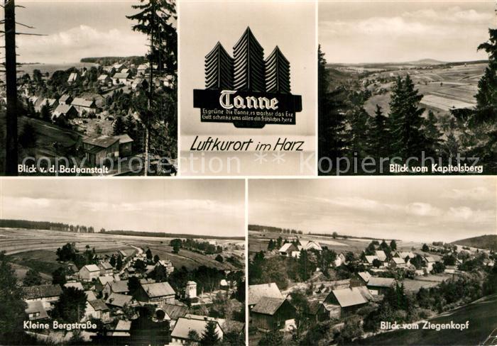 Tanne Harz Panorama von der Badeanstalt und vom Kapitelsberg Kleine Bergstrasse