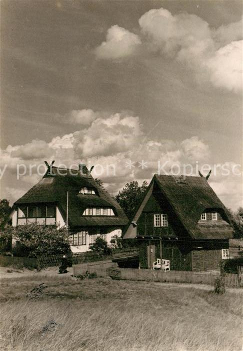 Damgarten Friesenhaeuser