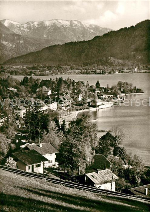 Tegernsee Blauberge