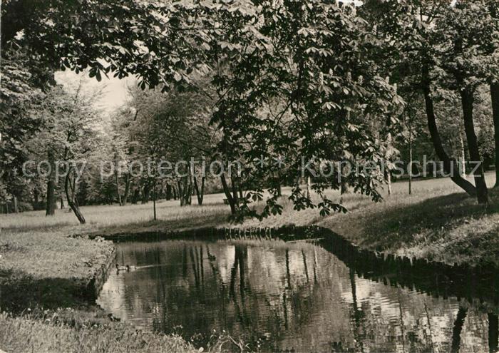 Pankow Die Panke im Buergerpark
