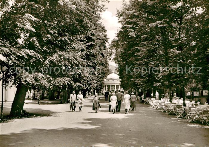 Bad Pyrmont Hauptallee im Kurpark