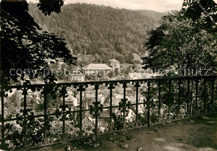 Schwarzburg Thueringer Wald Blick vom Schloss