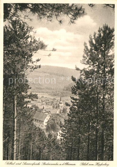 Bodenwerder Blick vom Hopfenberg