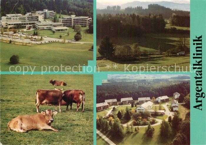 Neutrauchburg Argentaklinik Kuehe Fliegeraufnahme