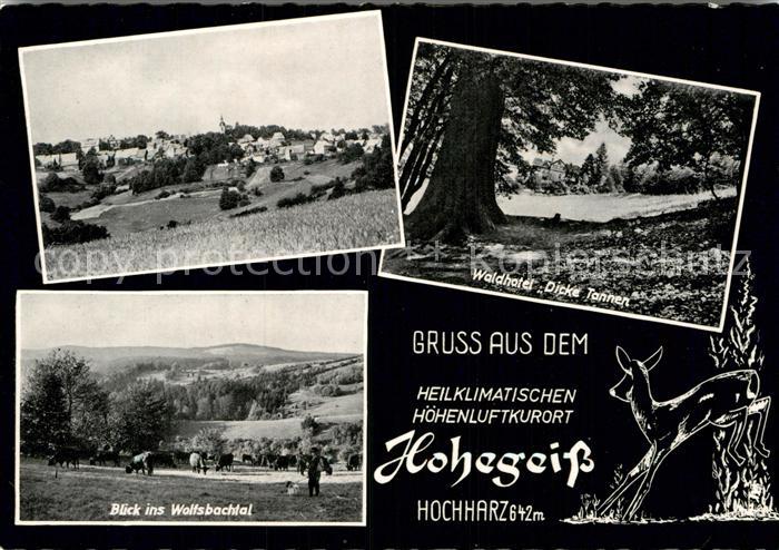 Hohegeiss Harz Waldhotel Dicke Tanne Wolfsbachtal