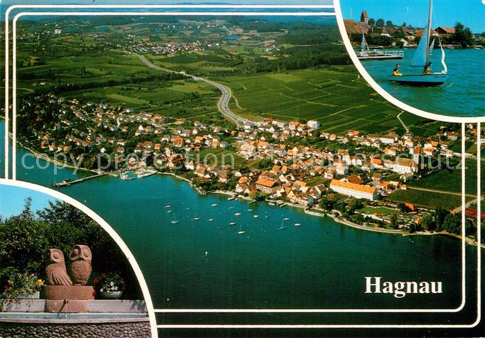 Hagnau Bodensee Fliegeraufnahme