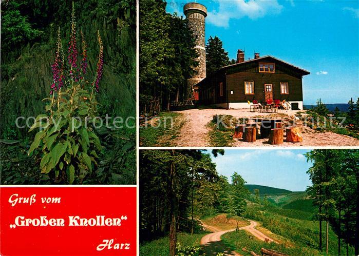Bad Lauterberg Grosser Knollen Wanderhuette