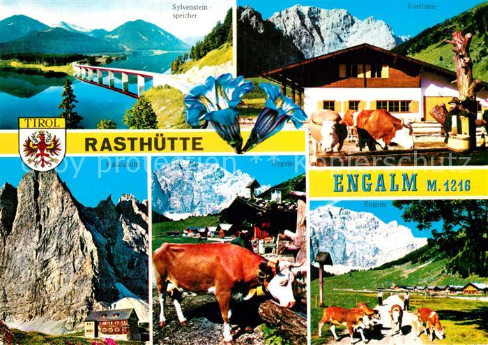 Engalm Rasthuette Sylvensteinspeicher Rasthuette Falkenhuette Kuehe