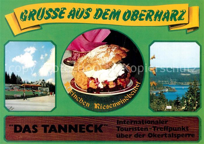 Okertalsperre Restaurant Das Tanneck Fliegeraufnahme