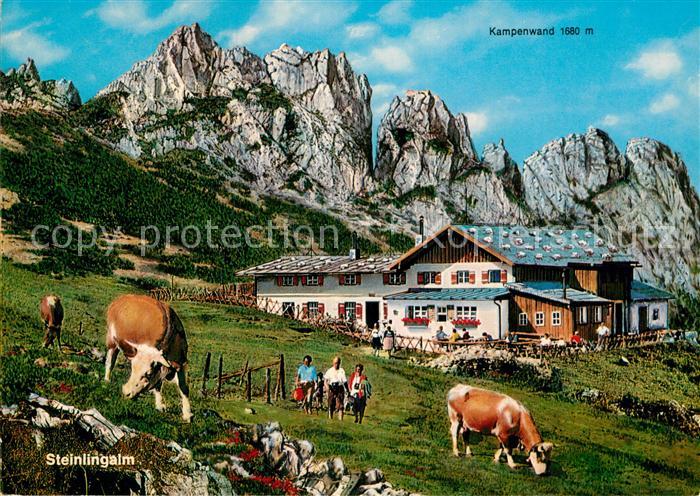 Aschau Chiemgau Steinlingalm mit Kampenwand Kuehe