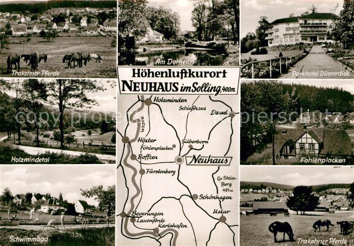 Neuhaus Solling Parkhotel Duestediek Pferde Holzmindetal Schwimmbad Fohlienplack