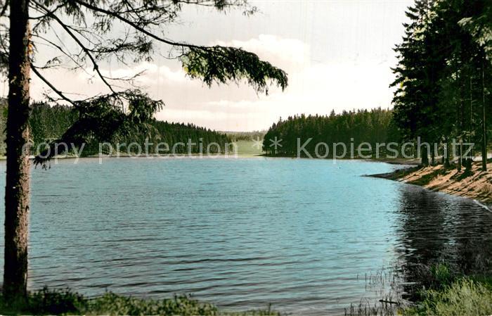 Buntenbock Prinzenteich