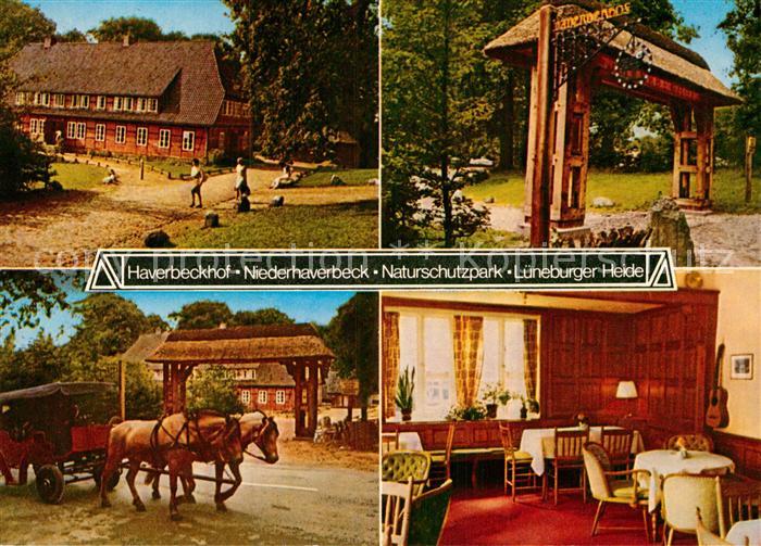 Niederhaverbeck Gasthof Haverbeckhof Pferdekutsche Naturschutzgebiet Lueneburger