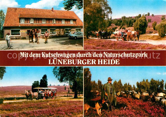 Hoerpel Gasthaus Pension Kutschwagenfahrten Naturschutzpark Lueneburger Heide Sc