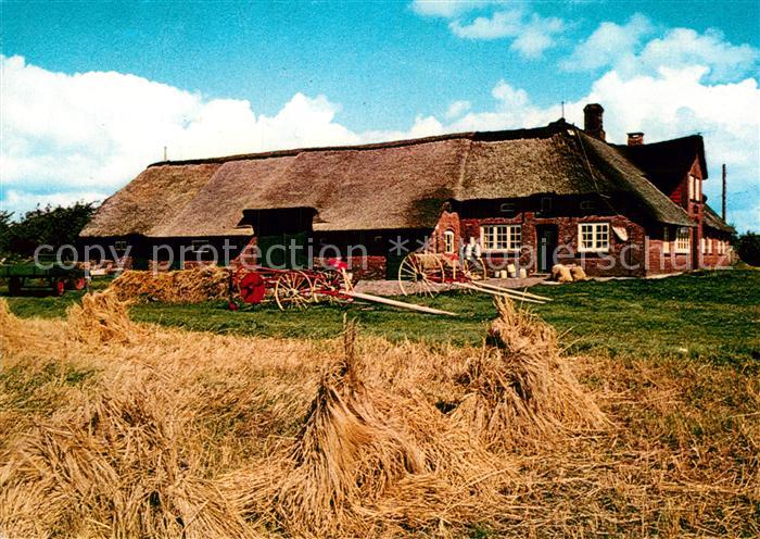 Westerland Sylt Bauernhaus Landwirtschaft