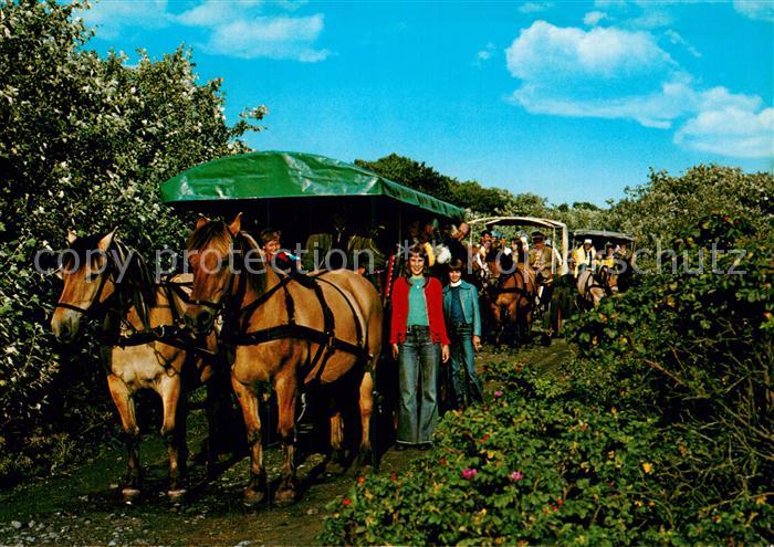 Borkum Kremser Fahrten