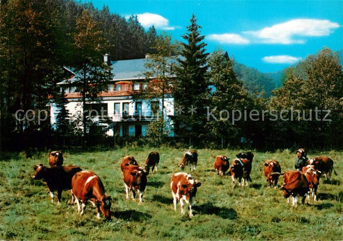 Stryck Hotel Cafe Haus Friederike