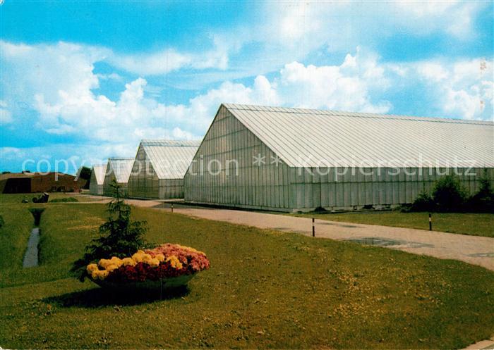 Wiesmoor Gewaechshaeuser der NWK