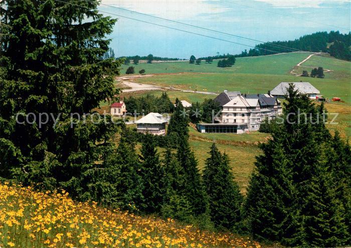 Schauinsland Halden Hotel