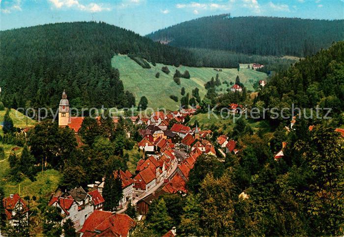 Wildemann Fliegeraufnahme