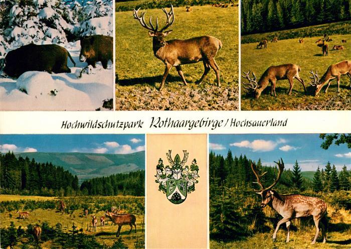 Hochsauerland Hochwildschutzpark Rothaargebirge Rot und Schwarzwild