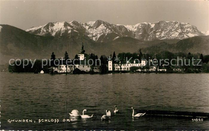 Gmunden Salzkammergut Schloß Ort Schwäne