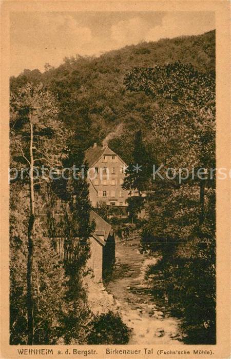 Weinheim Bergstrasse Birkenauer Tal Fuchssche Muehle