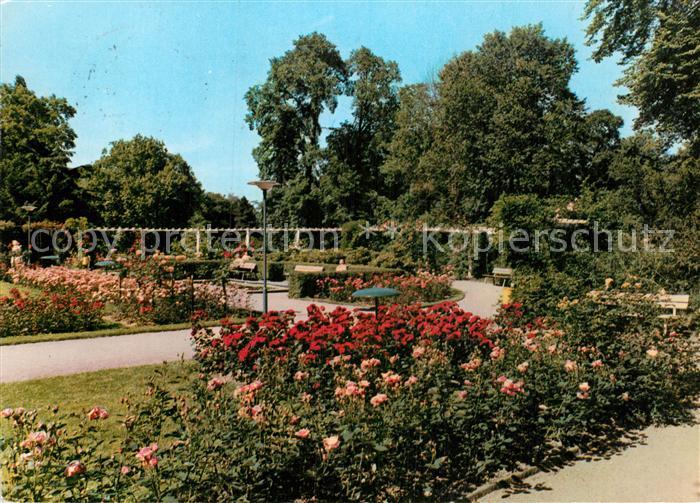 Bad Oeynhausen Kurpark Rosengarten