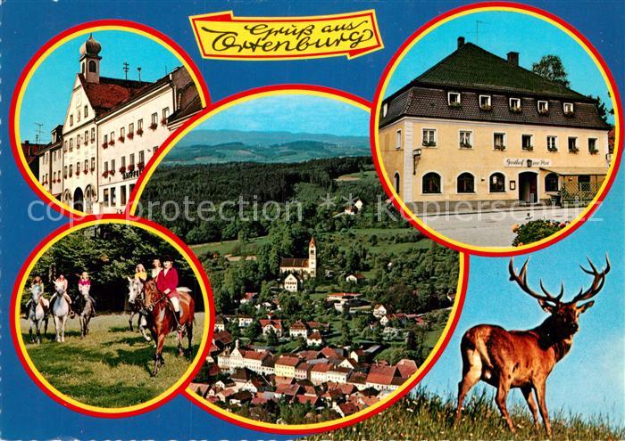 Ortenburg Wildpark Rathaus Reitclub