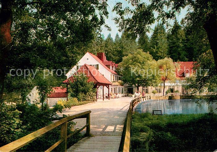 Horn-Bad Meinberg Waldhotel Silbermuehle